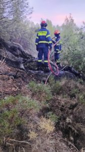 Άμεση αντιμετώπιση πυρκαγιάς στο δάσος δίπλα στην οδό Γρανικού