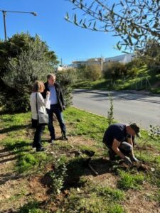 215 νέες φυτεύσεις στον Δήμο Βύρωνα