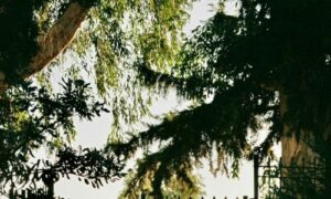 Mε επιτυχία πραγματοποιήθηκε η εκδήλωση «Επίσκεψη στον Κήπο»