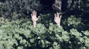 Ο Κόσμος του Κήπου-3η Κυριακή Δράσεων Κυριακή 5 Απριλίου, 11.00 – 15.00