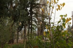 Δύο ημέρες οικολογίας, τέχνης και έρευνας M.A.T.C.H. ATHENS EXHIBITION