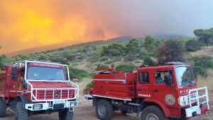 Σε επιφυλακή ο Δήμος Βύρωνα και η Εθελοντική Ομάδα Δασοπροστασίας λόγω πολύ υψηλού κινδύνου πυρκαγιάς